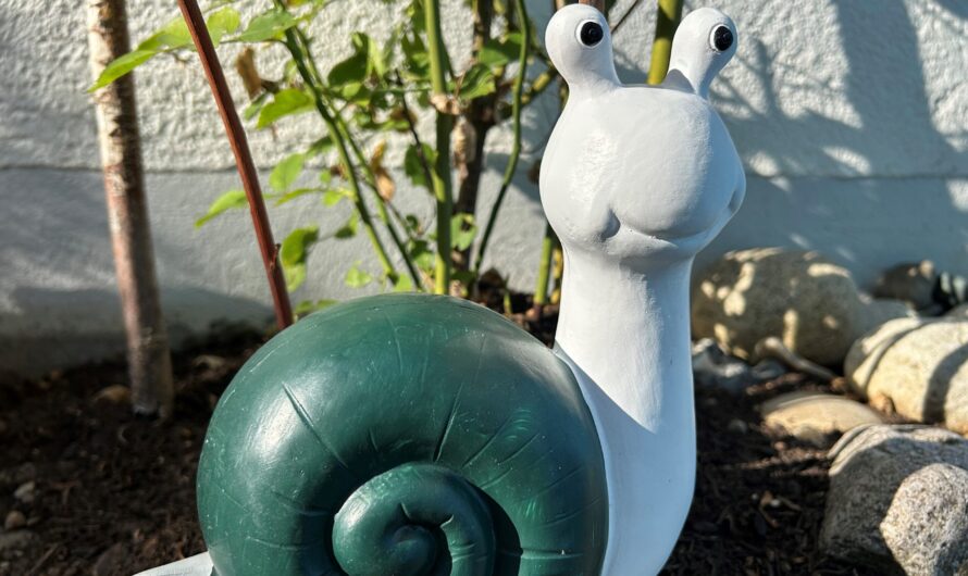 Ontario Schnecke