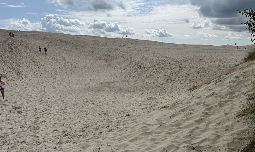 Wanderdüne Råbjerg Mile